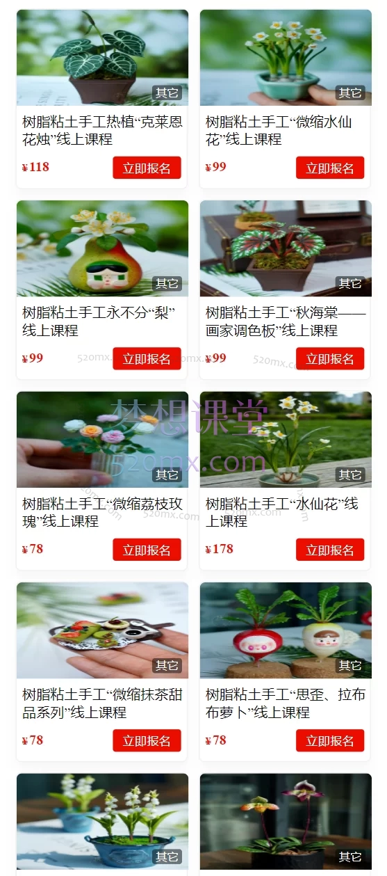 玖婷粘土手工教学：树脂粘土手工“花卉合集”线上课程玖婷花意堂