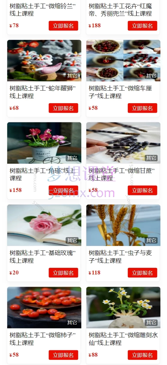 玖婷粘土手工教学：树脂粘土手工“花卉合集”线上课程玖婷花意堂