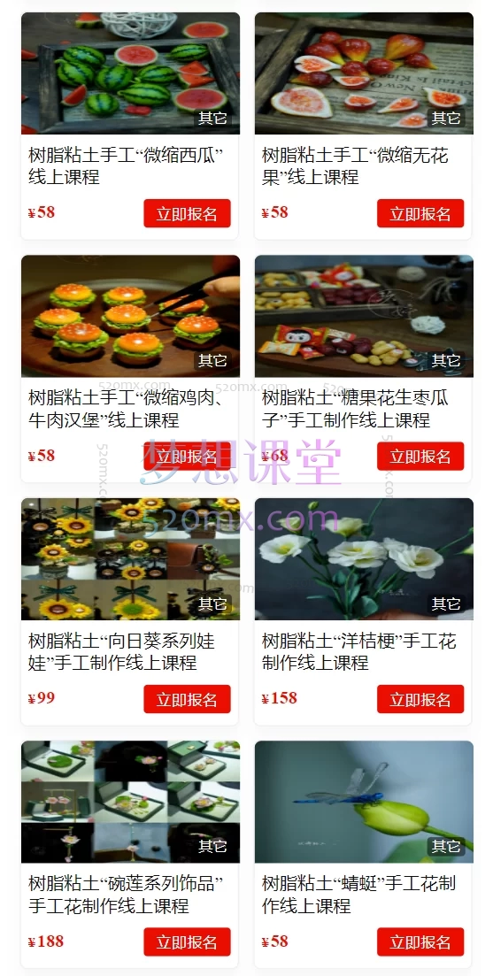 玖婷粘土手工教学：树脂粘土手工“花卉合集”线上课程玖婷花意堂