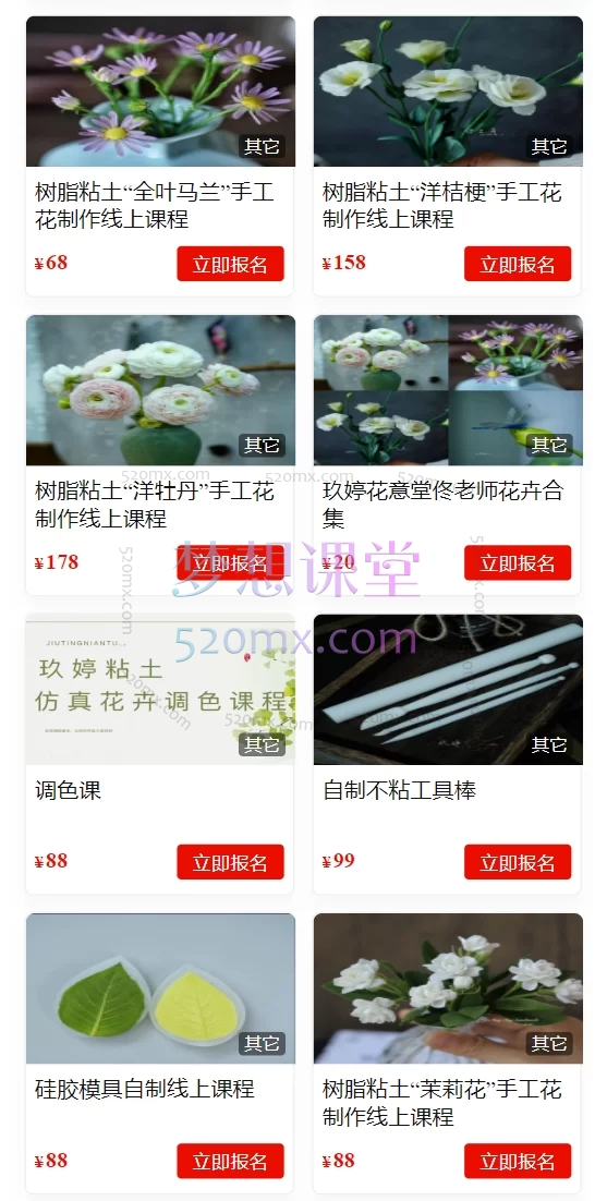 玖婷粘土手工教学：树脂粘土手工“花卉合集”线上课程玖婷花意堂