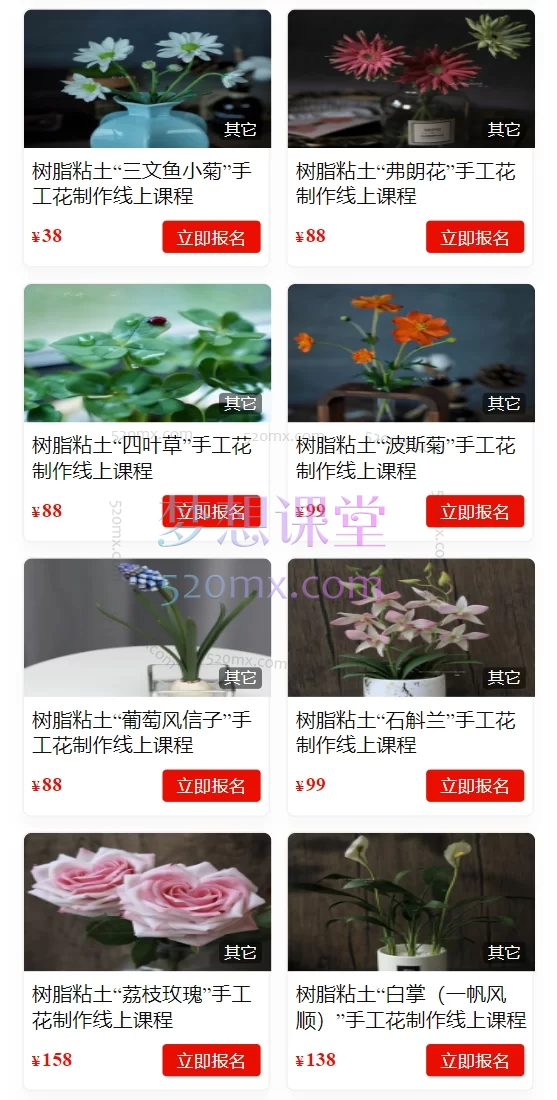 玖婷粘土手工教学：树脂粘土手工“花卉合集”线上课程玖婷花意堂