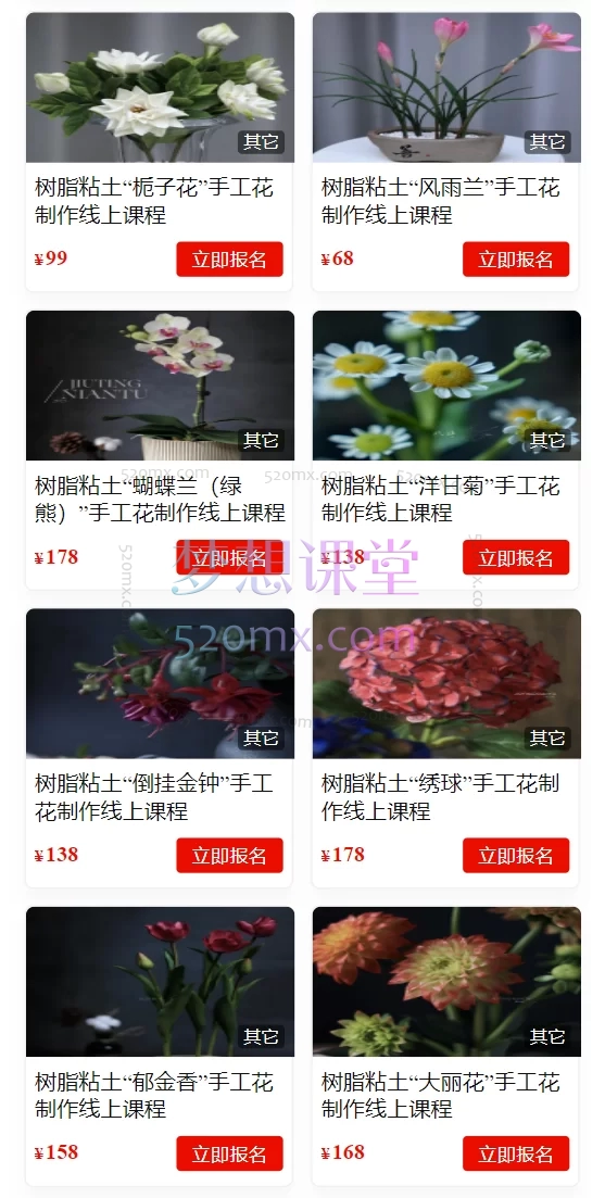 玖婷粘土手工教学：树脂粘土手工“花卉合集”线上课程玖婷花意堂