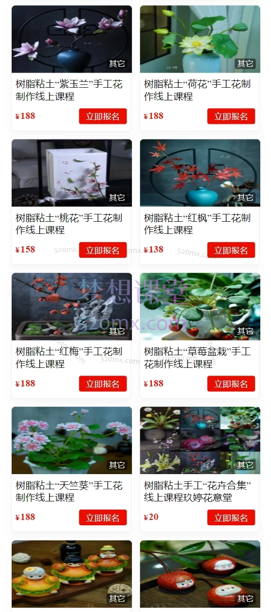玖婷粘土手工教学：树脂粘土手工“花卉合集”线上课程玖婷花意堂