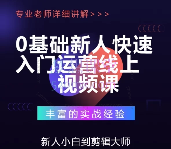蕾蕾聊跨境:TikTok店铺运营从0到1学习课程