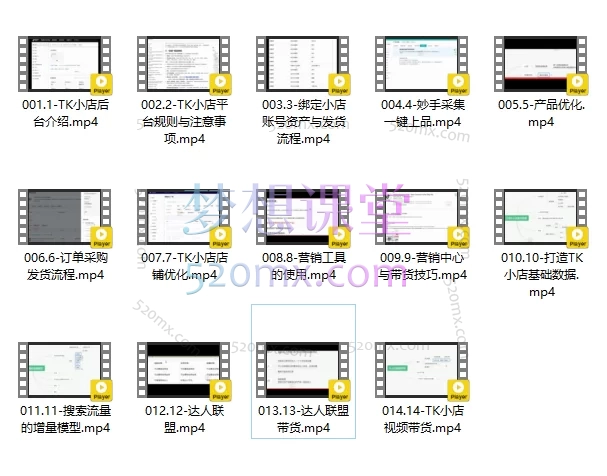 蕾蕾聊跨境：TikTok店铺运营从0到1学习课程