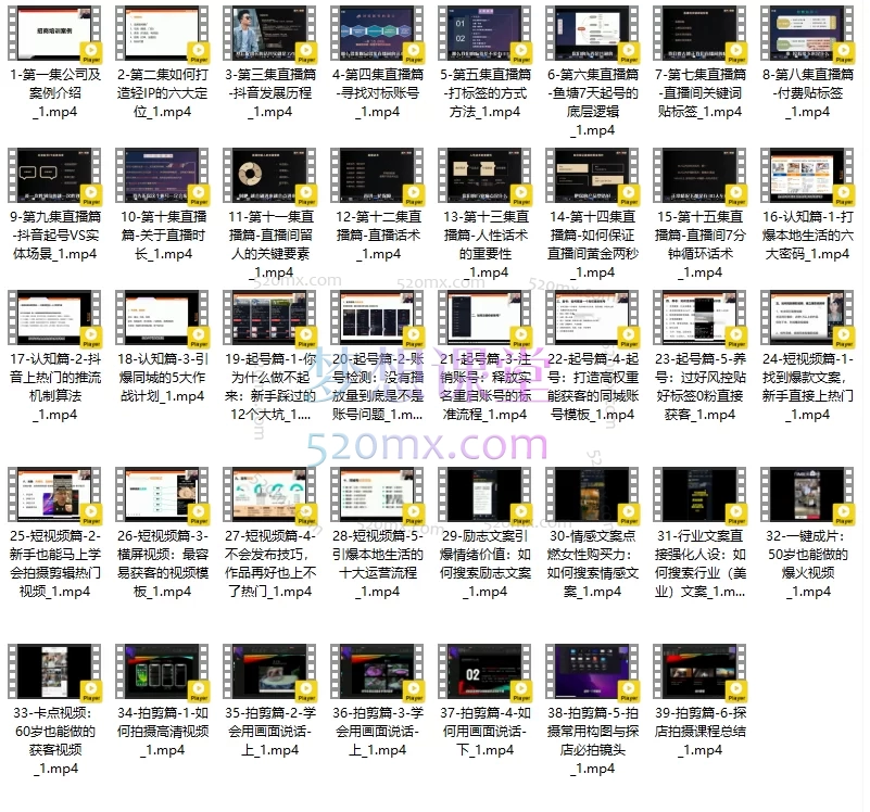 星火联盟：短视频直播运营特训营