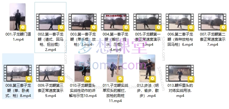 西北传统武术子龙鞭及实战用法(带字幕)