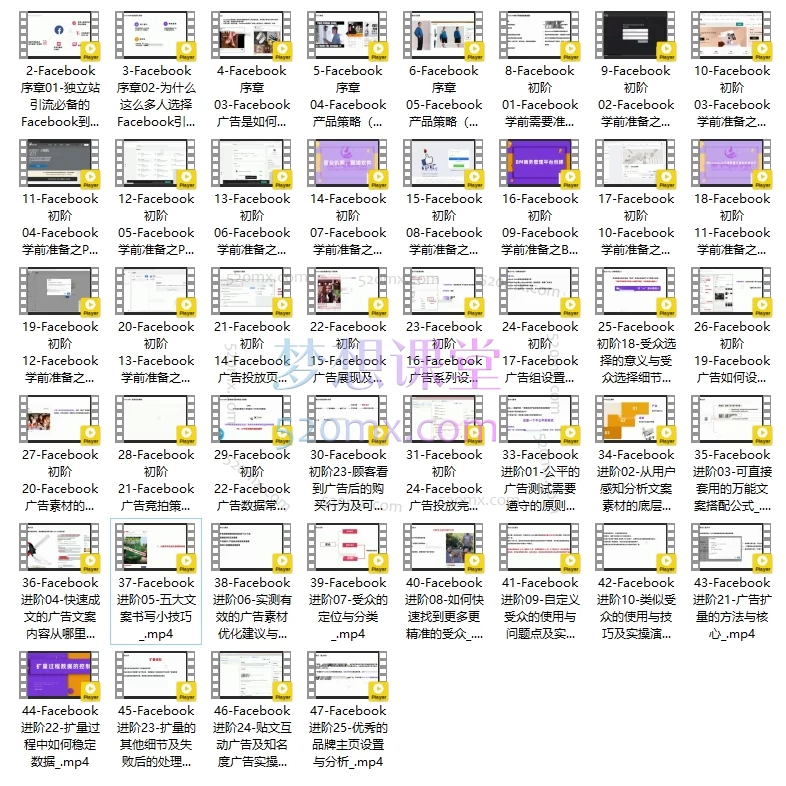 振洋跨境Facebook广告投放全集 (初阶+进阶)