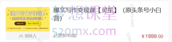 爆文写作变现课【灵笙】(原头条号小白营)