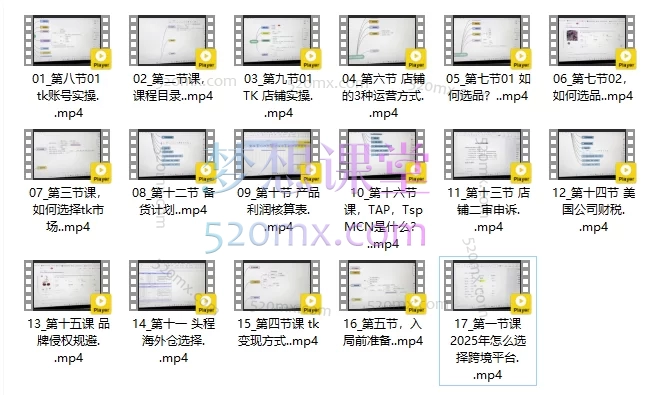 2025TikTok跨境电商从0到1,全域打法实操课