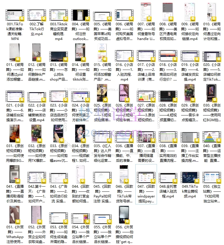 柚子出海TikTok出海掘金-通关秘籍,从0到1搭建与变现
