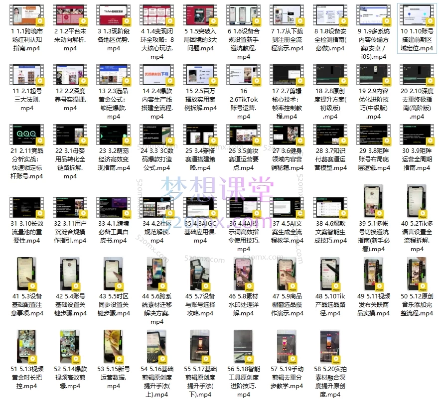2025海鸥跨境(全套)TikTok短视频实操课0-1带货,市场运营、变现闭环、AI工具与实操技巧大全