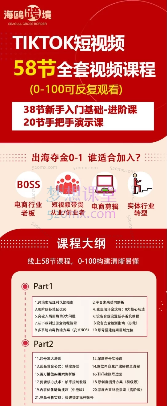 2025海鸥跨境(全套)TikTok短视频实操课0-1带货,市场运营、变现闭环、AI工具与实操技巧大全