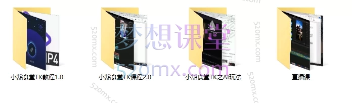 2025小豁食堂Tiktok中视频AI玩法陪跑课程，价值7980元