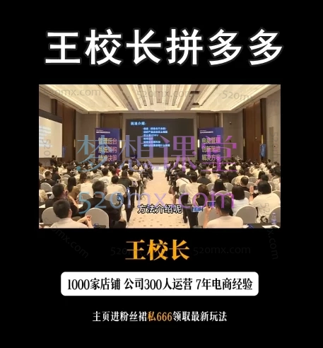 2025王校长拼多多电商教程