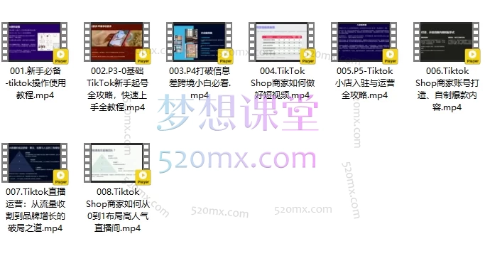 天诺老吴:Tiktok出海计划线上课