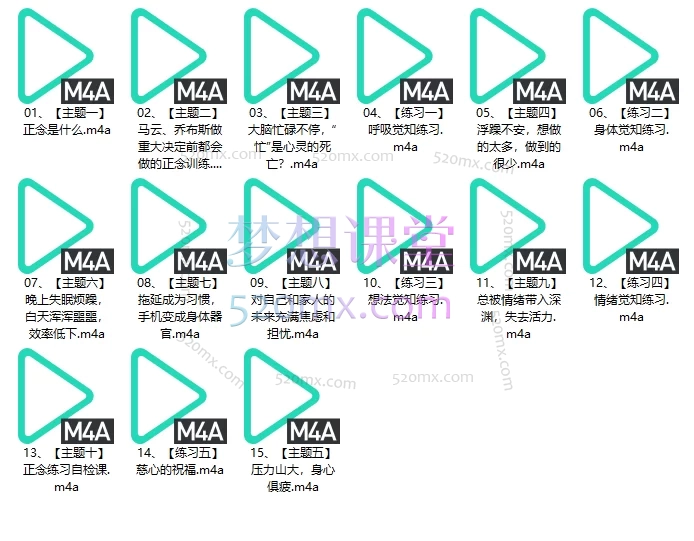 贾坤21天正念训练营告别焦躁、失眠、压力的自我训练法