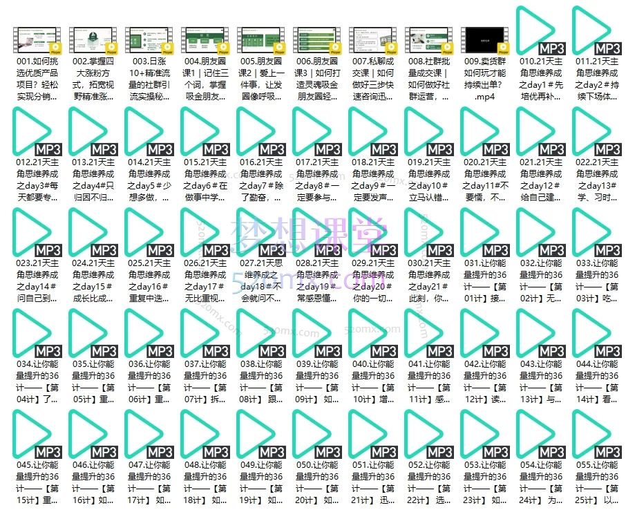 绿萝家私域创富年度私教