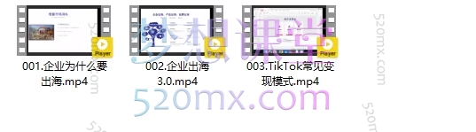 Richard创业投资逻辑,企业出海3.0认知实操课程