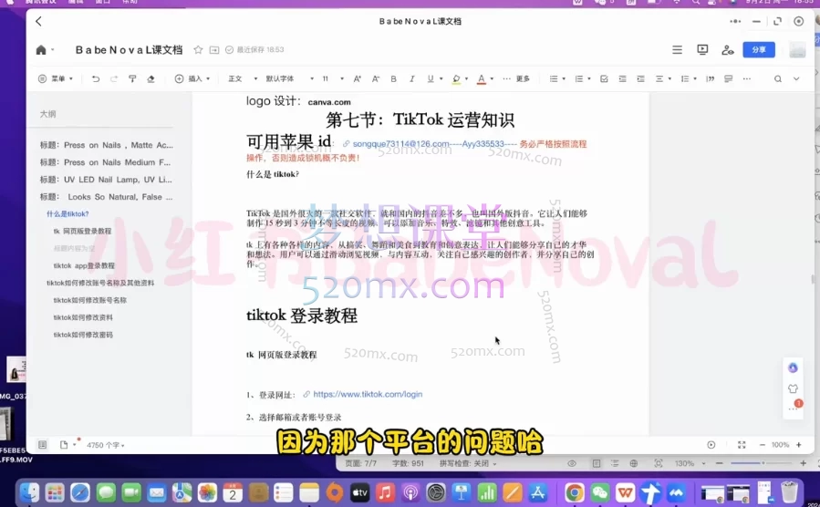 BabeNovaL的基础初级独立站运营系列课程