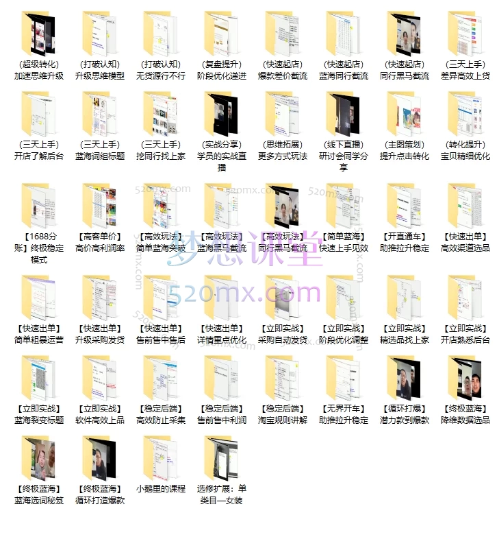 2025猫课淘宝精细化铺货运营陪跑【快速出单】