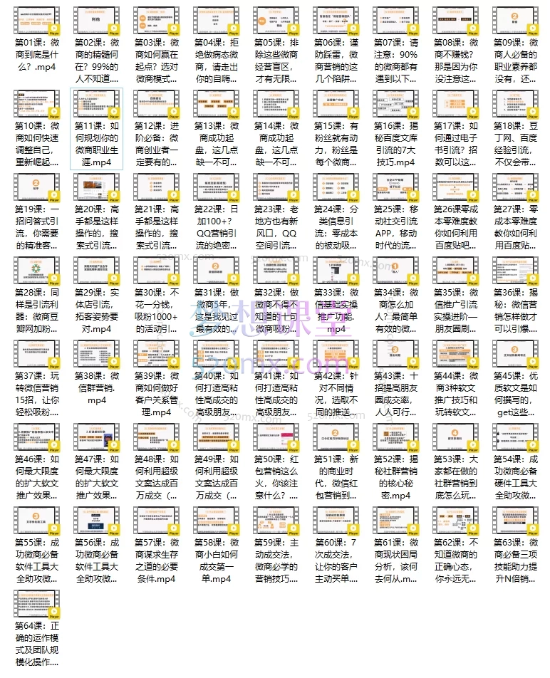 体面老师：微商百科全书，64节精华课从入门到精通