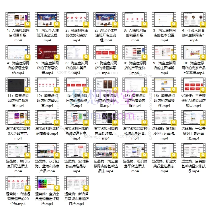 新哥虚拟电商：AI虚拟网店蓝海盈利项目陪跑课
