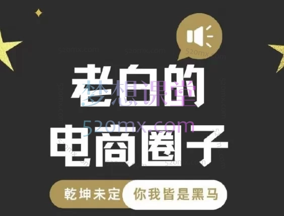 黑马会老白跨境电商: 海外小店实战+TikTok内容营销全流程教学