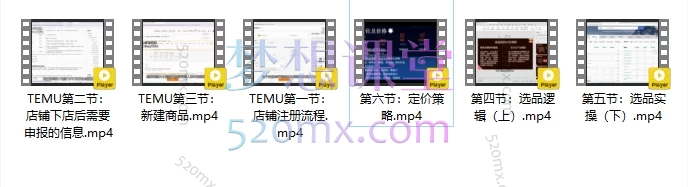 2025阿标跨境:TEMU卖家实战,从0到1高效出单