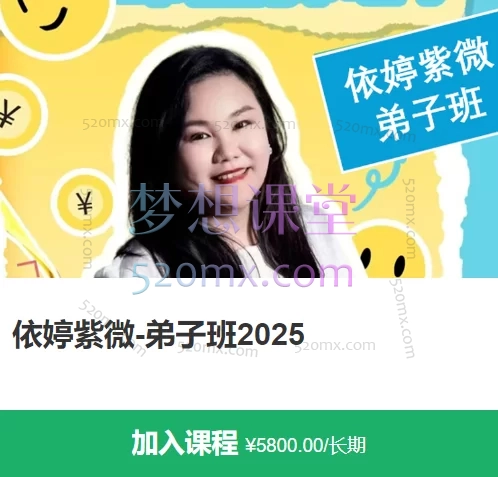 2025依婷紫微斗数-弟子班,十大核心应用案例深度解析