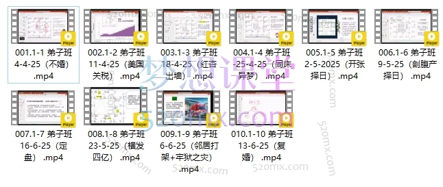 2025依婷紫微斗数-弟子班,十大核心应用案例深度解析
