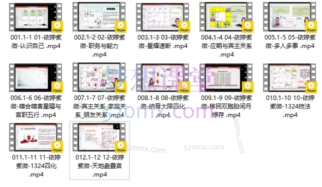 2025依婷紫微系统班