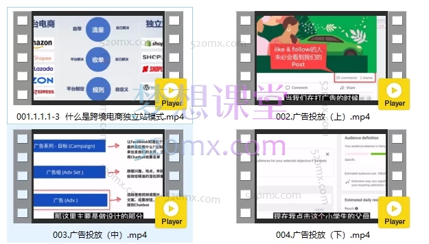 姜老师:独立站建站与营销,FB/INS广告投放与TikTok运营