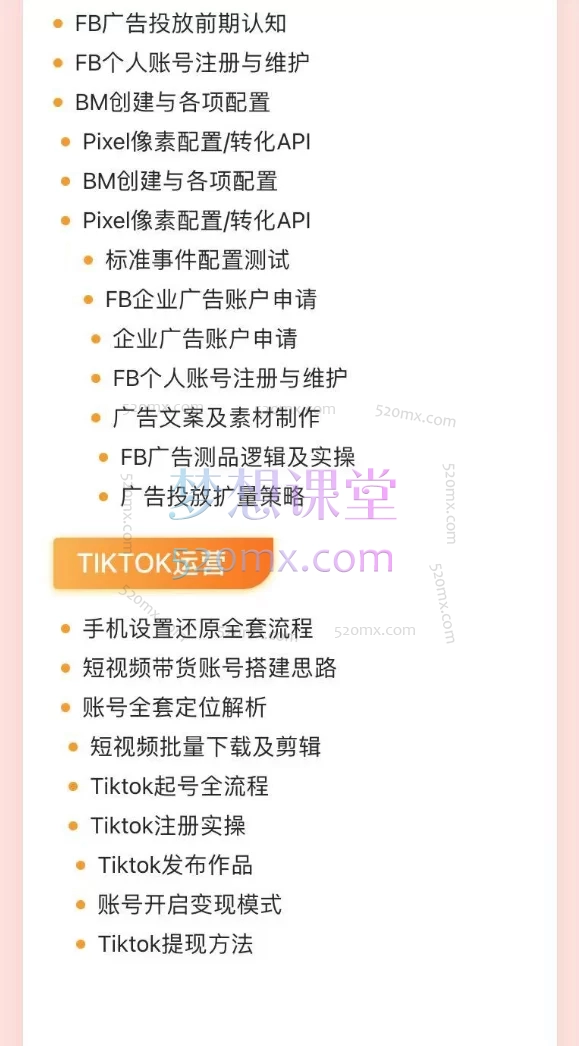 姜老师：独立站建站与营销，FB/INS广告投放与TikTok运营