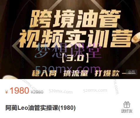 2025阿蔺Leo油管(YouTube)实操课价值(1980)