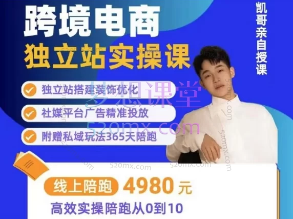 阿熔跨境电商独立站+私域线上实操陪