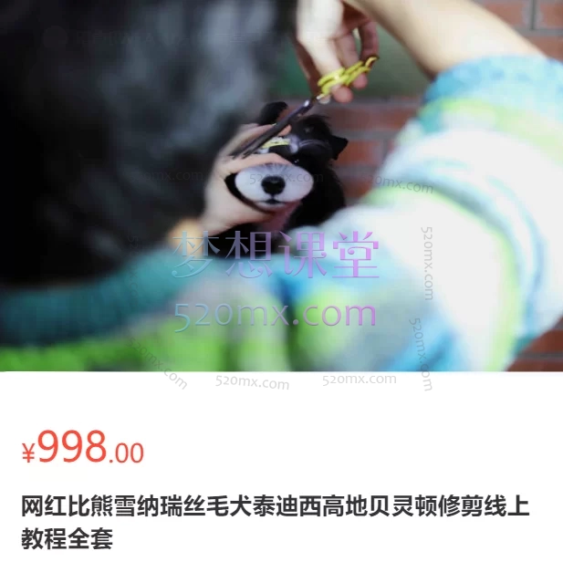 网红比熊雪纳瑞丝毛犬泰迪西高地贝灵顿修剪线上教程全套