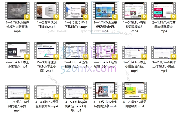 杨左使：从0-1教你做TikTok小店实战课（手把手教你做海外抖音赚钱）
