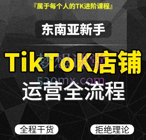 2025肥仔Tiktok东南亚店铺新手运营全流程