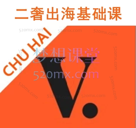 VC 二奢出海基础课