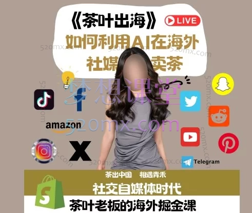 青禾-子涵Nemesis:茶叶出海如何利用ai在海外社媒卖茶掘金课