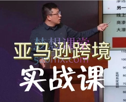 白龙亚马逊跨境实操课,入门到实操精品课(22讲详解)