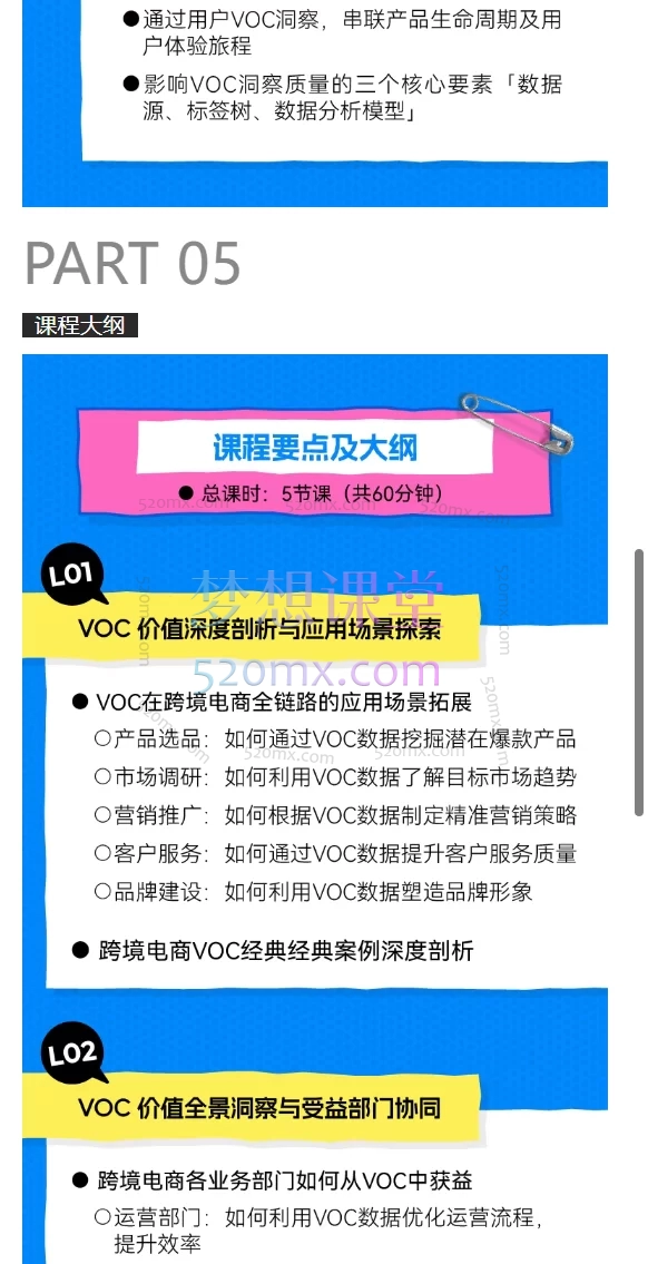 2025《跨境电商VOC用户洞察实战入门课程》：解锁海外用户需求的金钥匙，声IN创始人/CEO何湃
