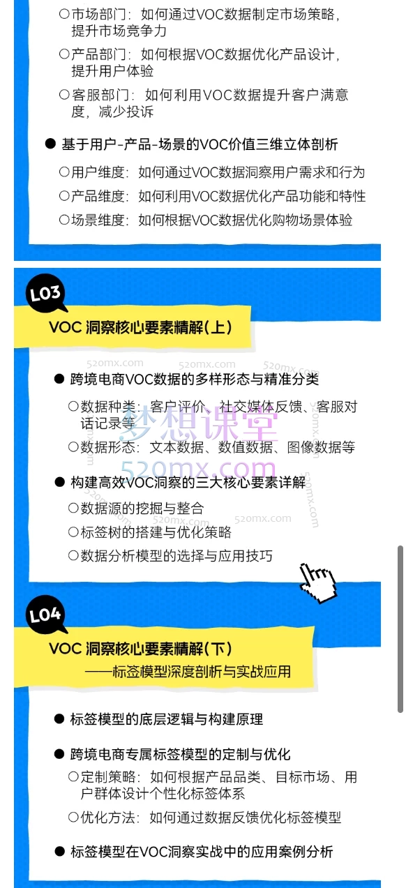2025《跨境电商VOC用户洞察实战入门课程》：解锁海外用户需求的金钥匙，声IN创始人/CEO何湃