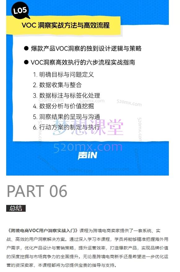 2025《跨境电商VOC用户洞察实战入门课程》：解锁海外用户需求的金钥匙，声IN创始人/CEO何湃