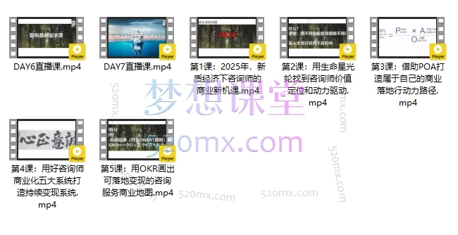 2025咨询师IP变现计划训练营