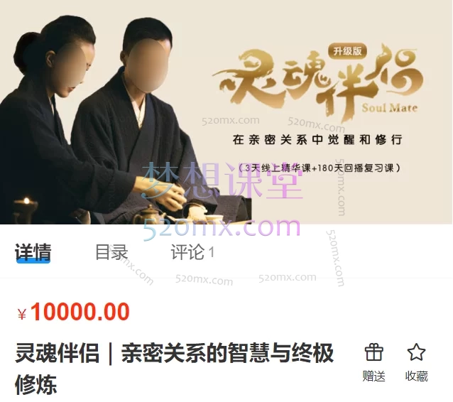 了悟:灵魂伴侣|亲密关系的智慧与终极修炼