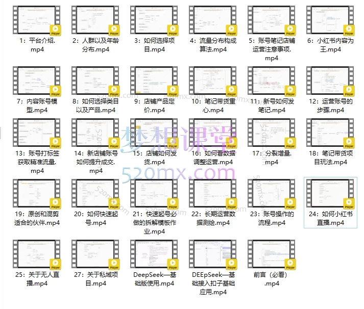 大帅电商毅超老师：小红书实战训练营：从0-1开店、爆款带货到直播变现全流程