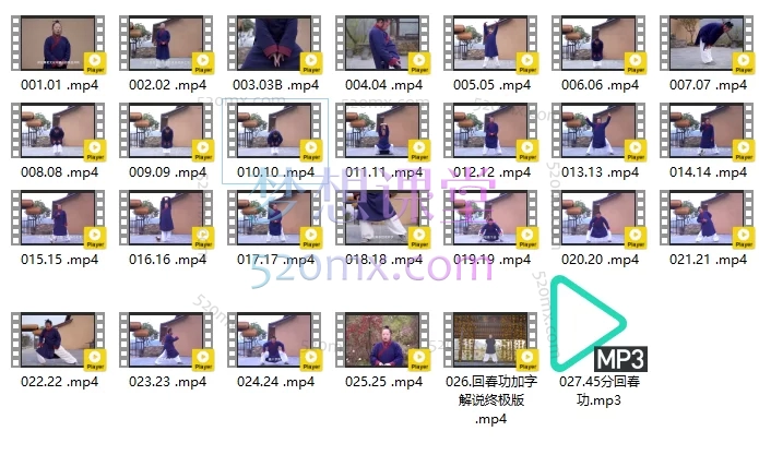 李资通道家九转徊舂功视频课程