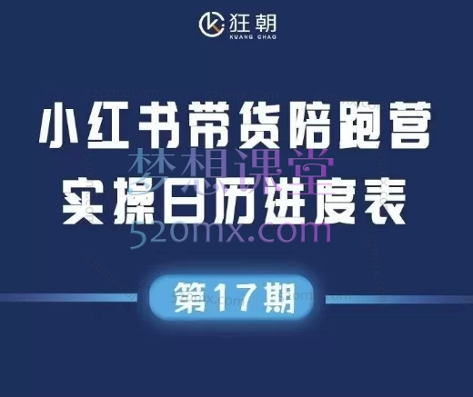 2025盗坤小红书第17期带货陪跑营